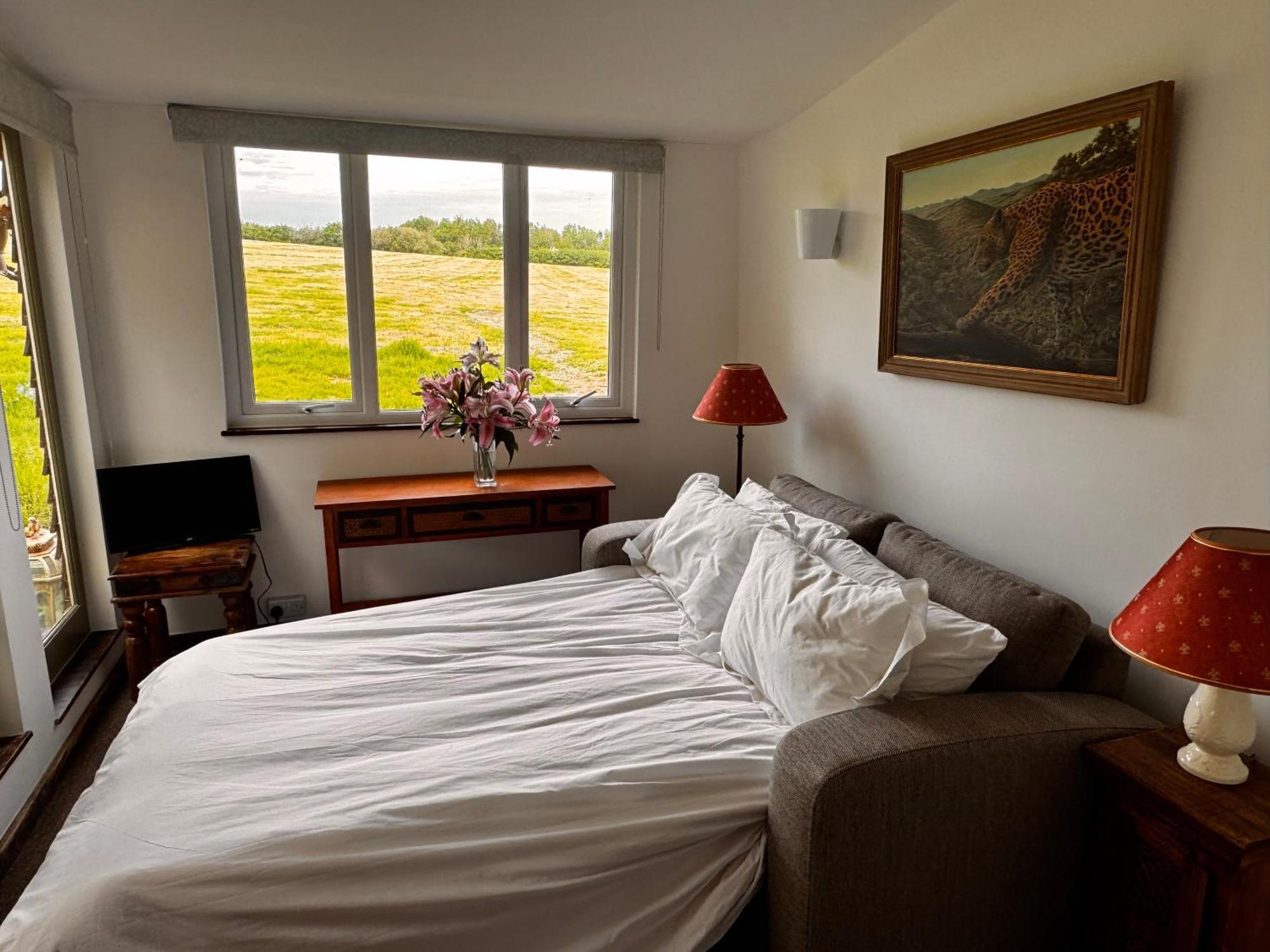 Hollamoor Farm Bed & Breakfast Barnstaple Rom bilde